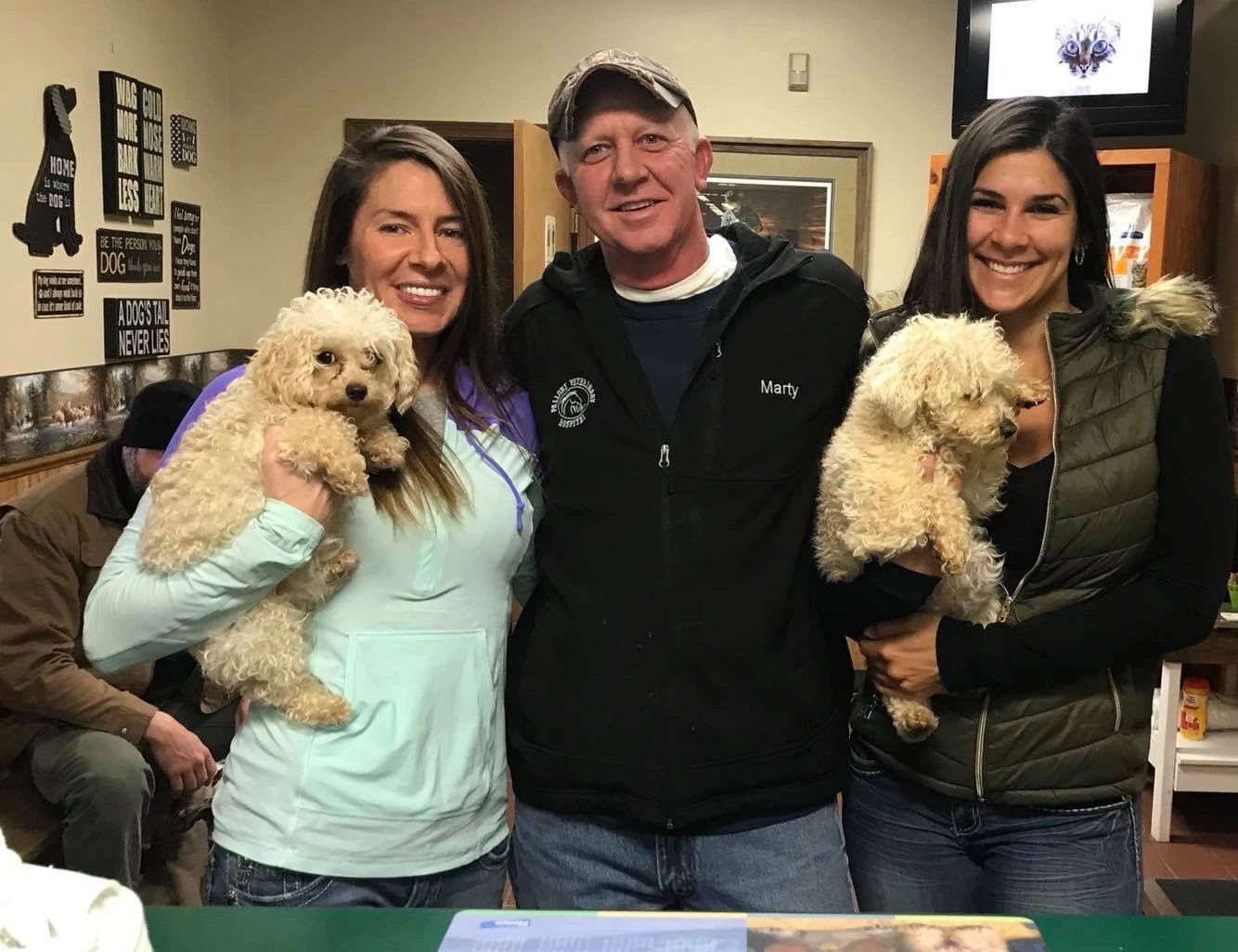 toy poodle trading post