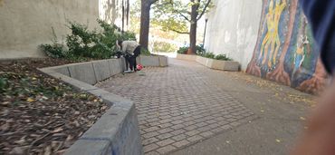 Potential Alley Steward in training.