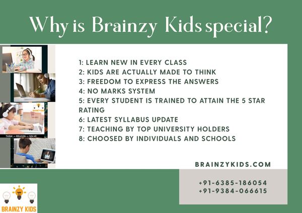 Brainzy Kids brainzykids.com