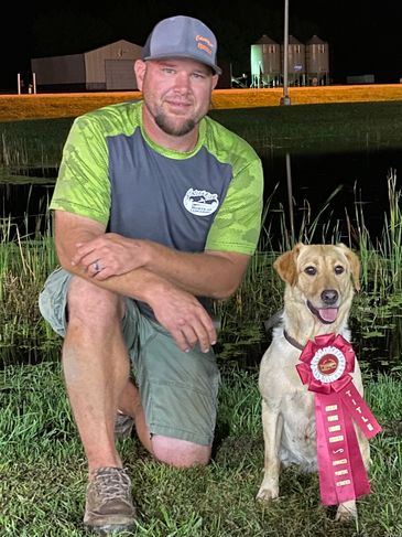 Professional Labrador Trainer