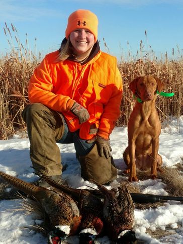 Professional Gun Dog Trainer South Dakota