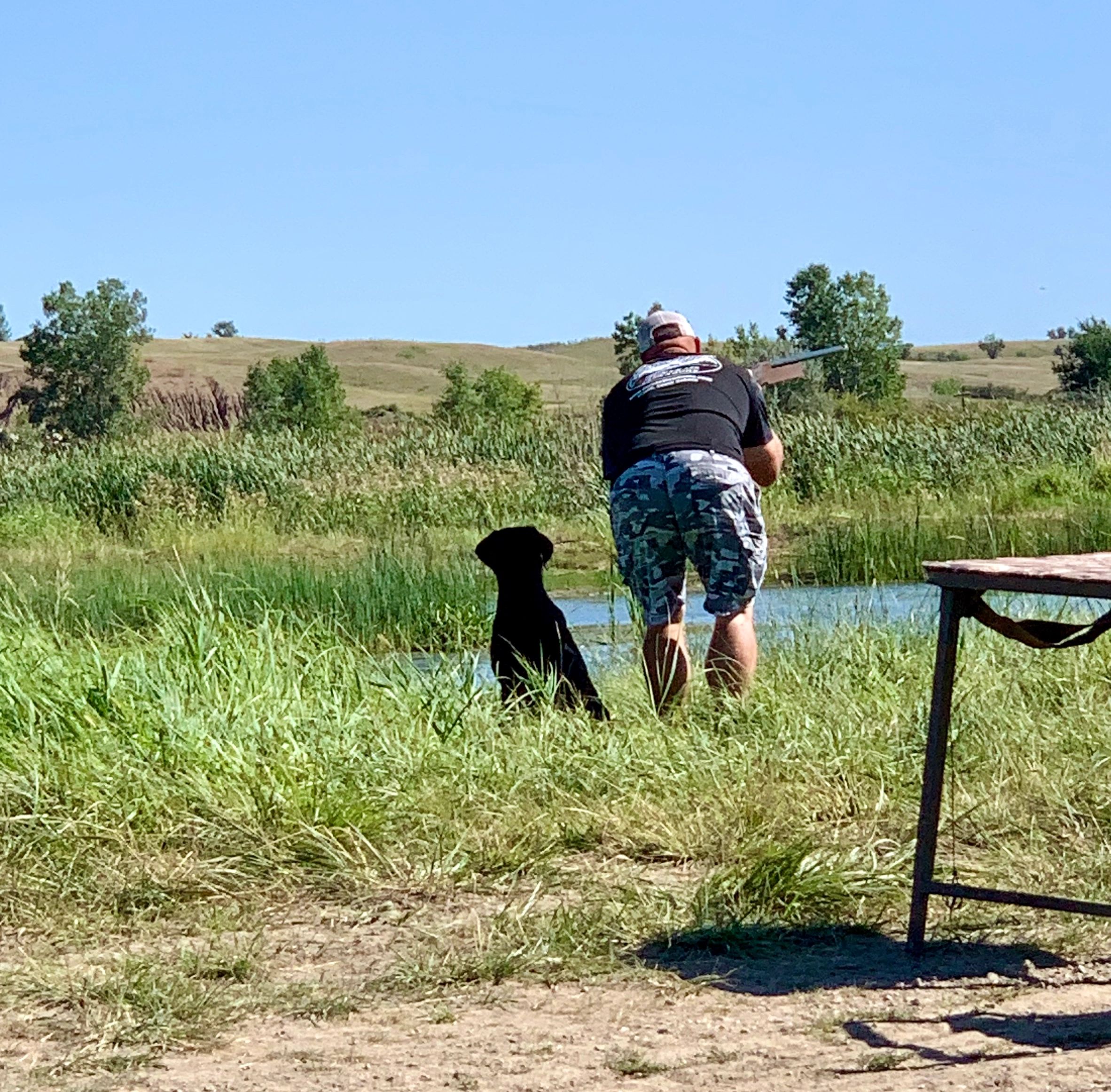 Contact Coteau View Kennels South Dakota Pointing Labs Conde, SD