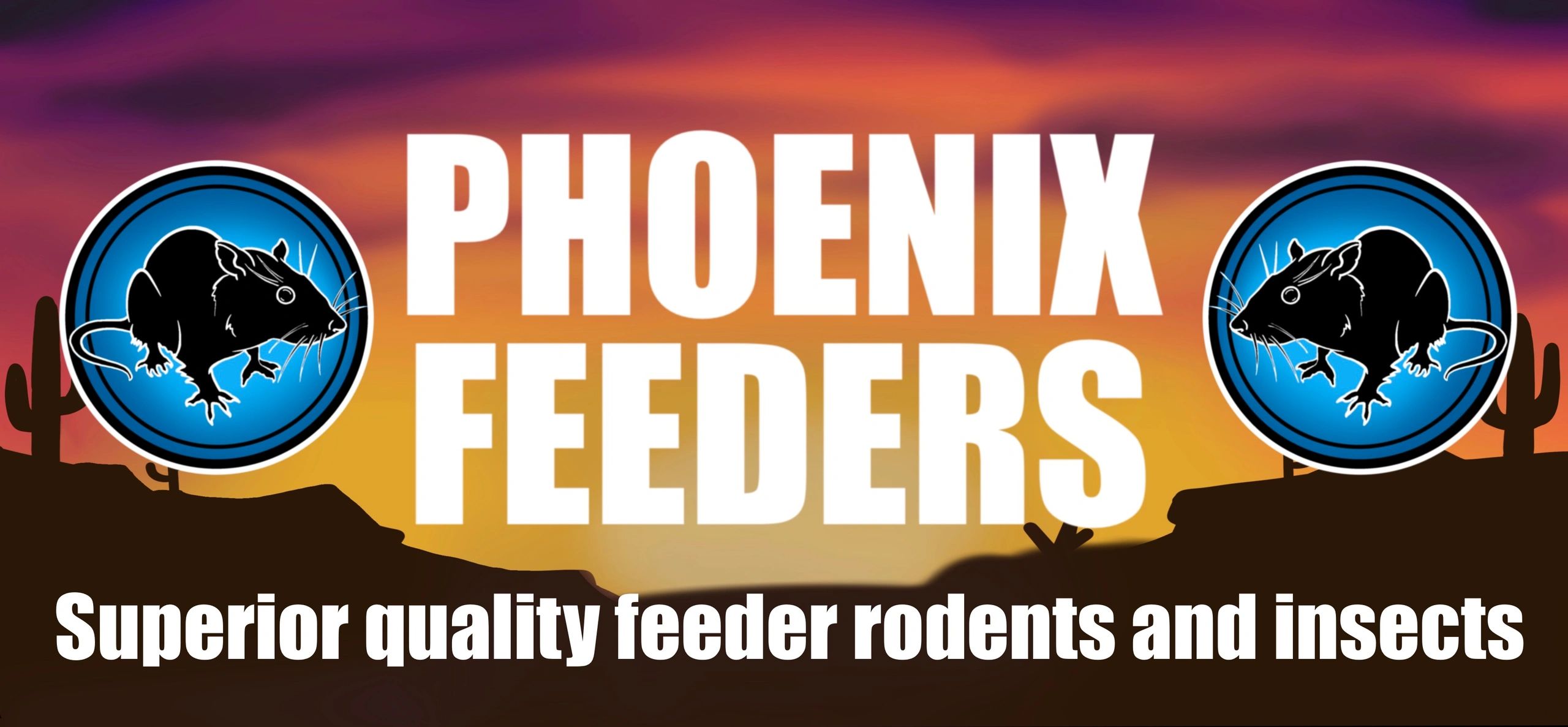Phoenix Feeders LIVE Feeder Rats, Feeder Mice and Dubia Roaches