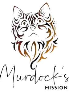 Murdock's Mission