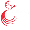 Starbird Digital Media 
