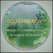 ECOSYNERGY™