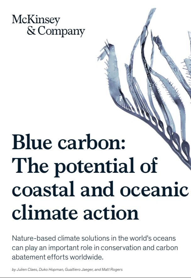 Blue carbon: The potential of coastal and oceanic climate action