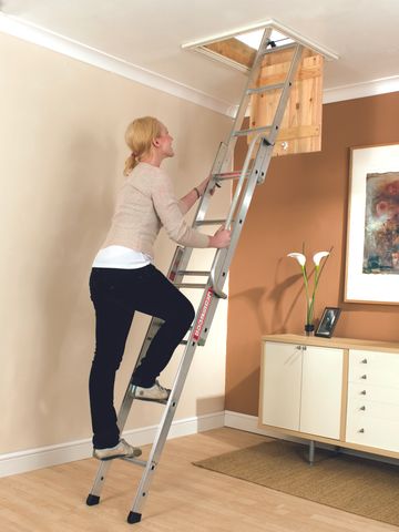 youngman werner easiway loft ladder