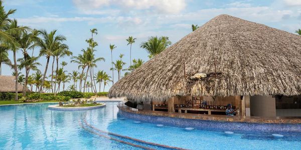 Thatched-roof swim-up bar in a tropical pool setting with palm trees.