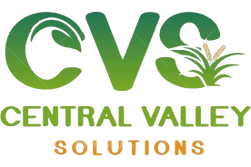 Central Valley Solutions 