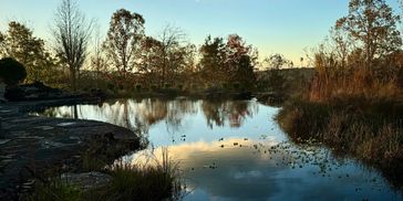 A serene pond reflecting trees and sky at dusk.