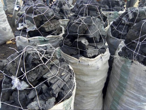 Sacks filled with large chunks of charcoal tied with netting.