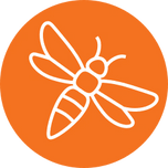 Timothy's Bees