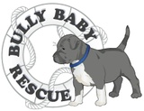 Bully Baby Rescue