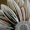 carole vincer
