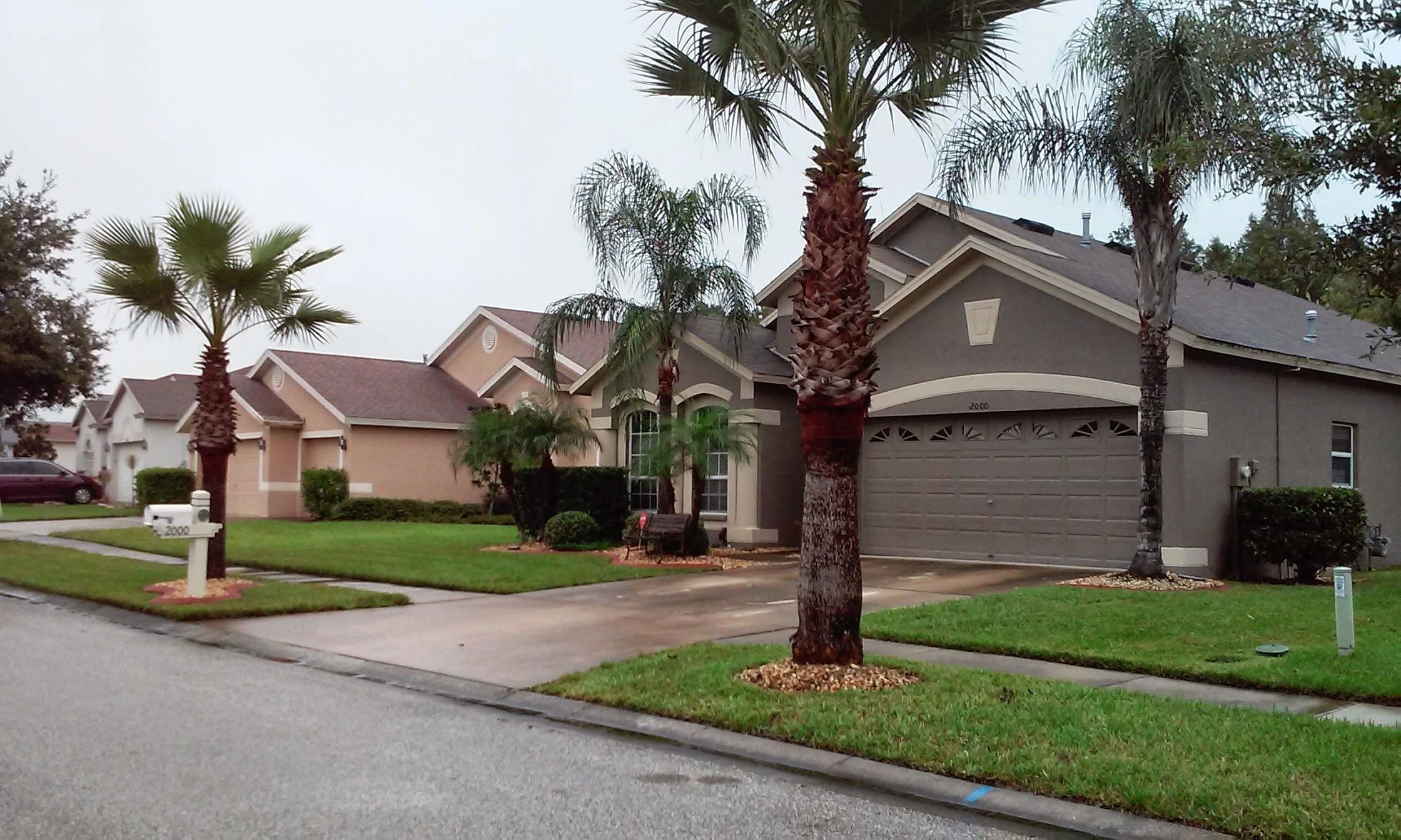 Wesley Chapel Lawn Care Service Garden Maintenance.