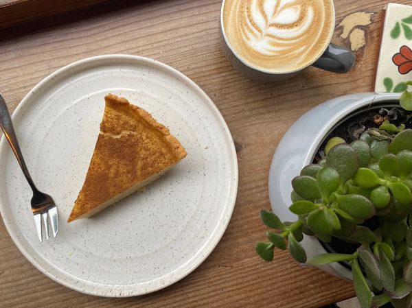 Milktart, flat white coffee and a plant on the counter.