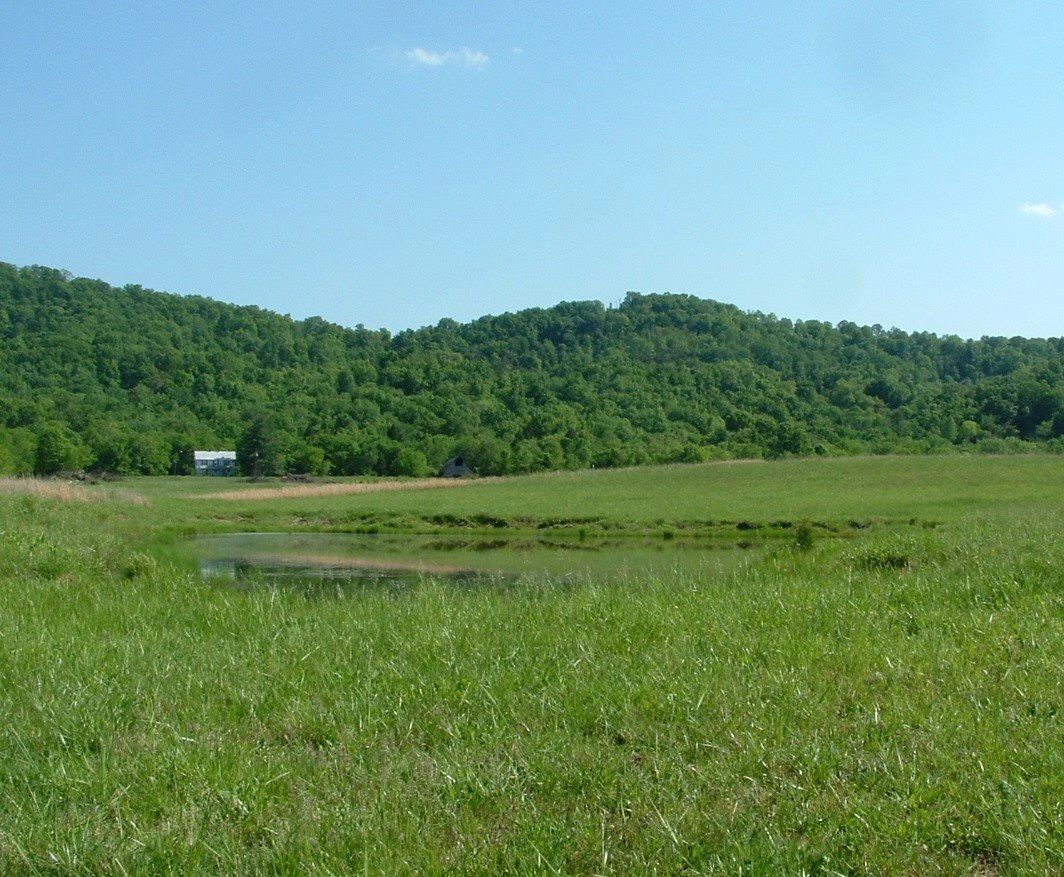 Country Lane Farm photo 5