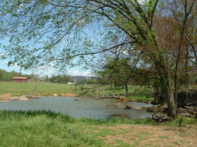 Country Lane Farm photo 6