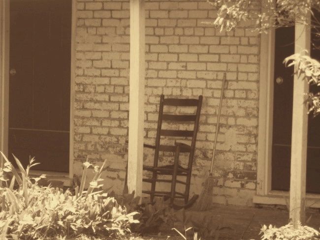 Country Lane Farm photo 7