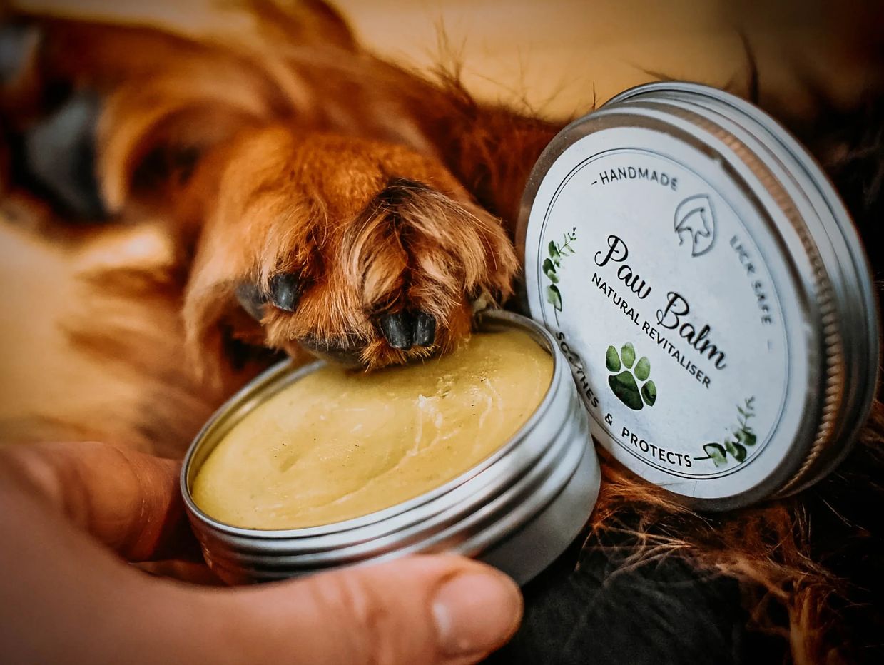Dog's paw touching natural paw balm in a tin.
