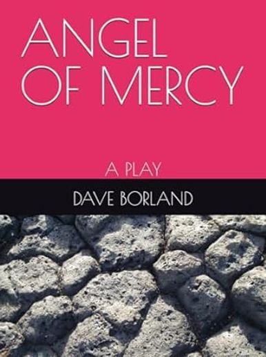 This is a story of injustice in the year 1919 about the best union organizer of the day, Mrs. Fannie