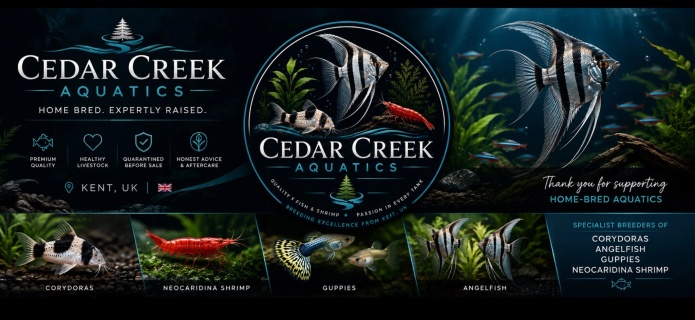 Cedar Creek Aquatics