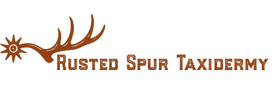 Rusted Spur Taxidermy