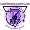 Bliss Gymnastics 