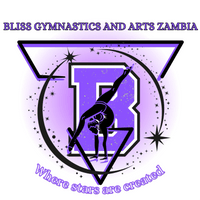 Bliss Gymnastics 