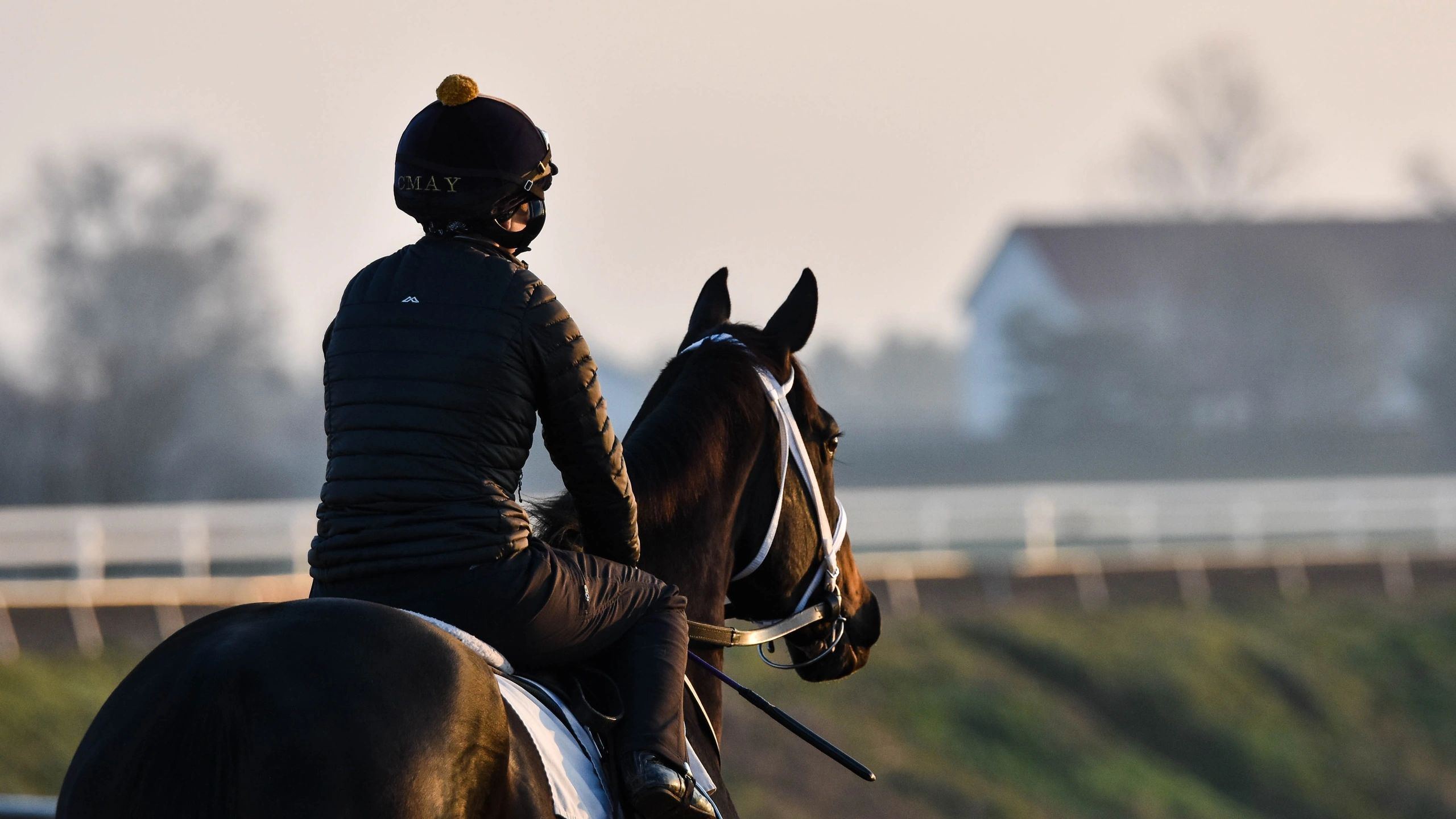 Thoroughbred Racehorse Trainer Begg Racing