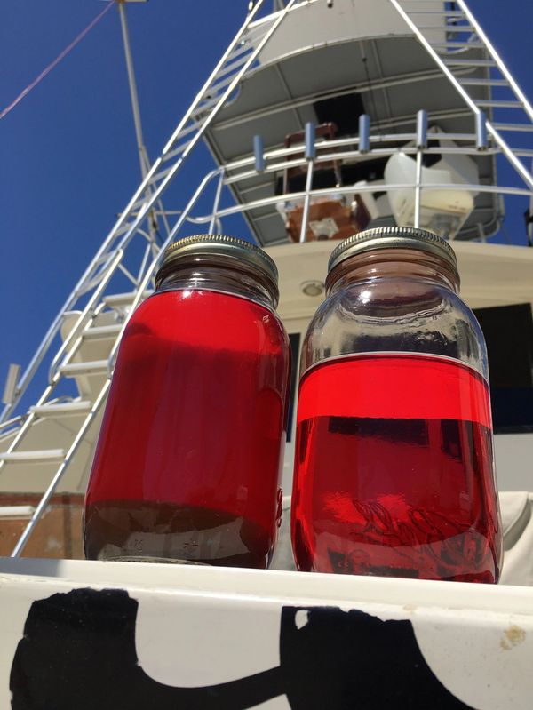 Fuel Polishing in Pensacola Shipyard 