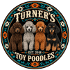 Turner's Toy Poodles