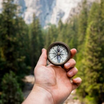 Hand holding a compass in a forest setting.