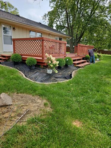 New beds