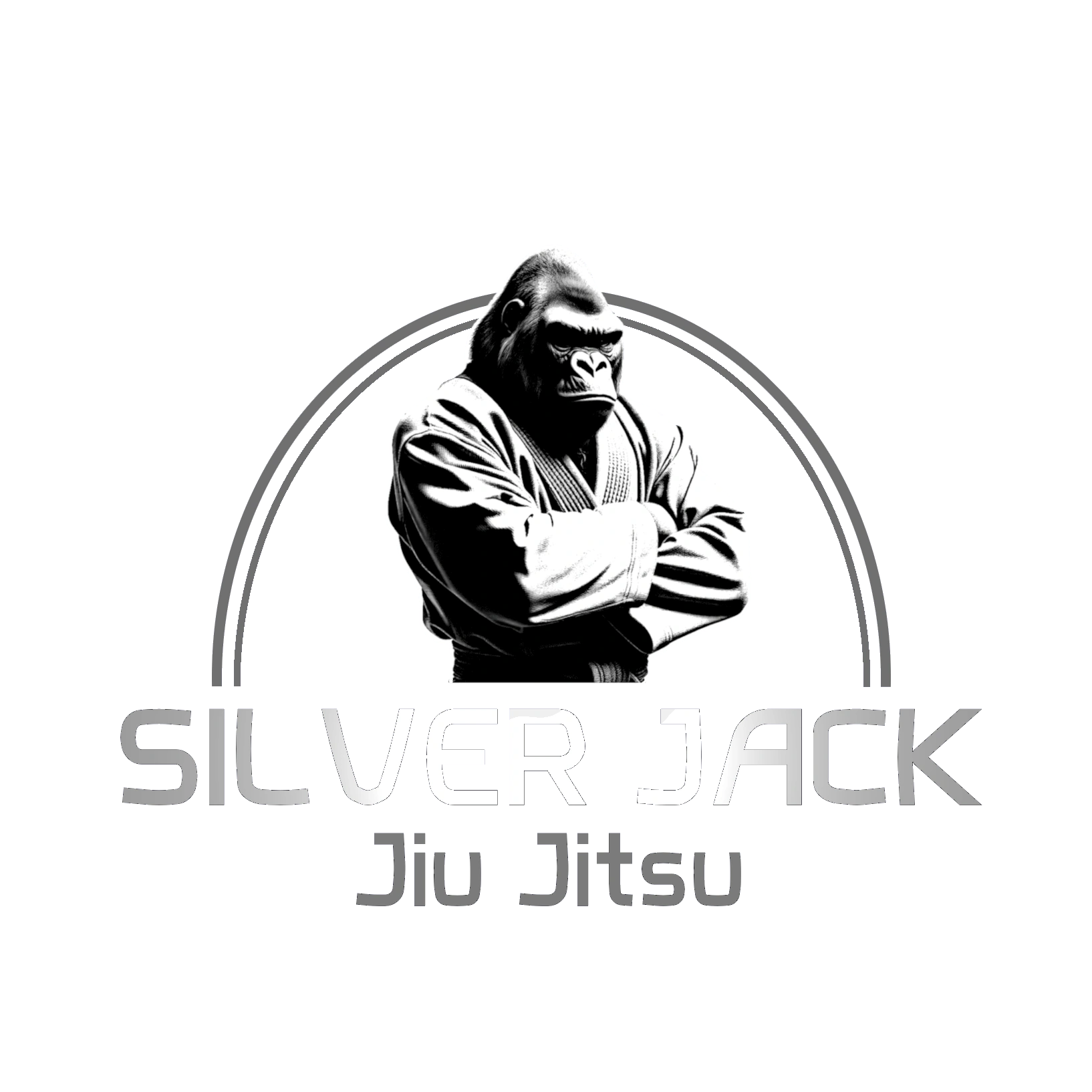 Silverjack Jiu-jitsu gym photo