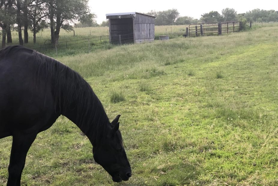 Timber Lane Equestrian Center Horse Boarding Saint Charles, Iowa