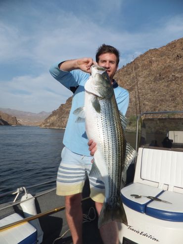 Las Vegas Trophy Fishing Trips, Las Vegas Fishing Adventure, Las Vegas Fishing Trips, NV fishing 