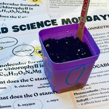 A purple pot with soil and a labeled stick on a science worksheet.
