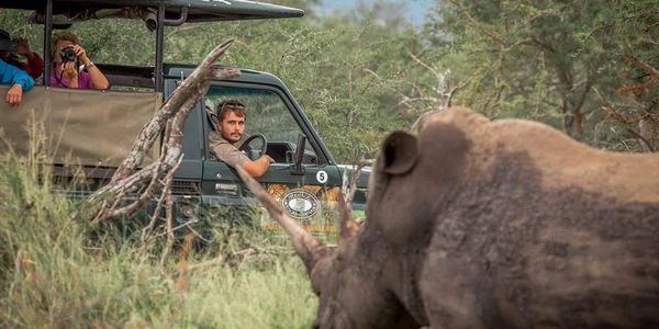 Image of a Safari Tour beside a rhino in Hluhluwe-Imfolozi near St Lucia South Africa