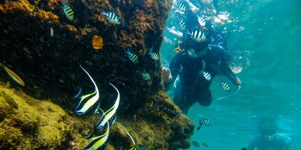 Image of someone snorkelling in beautiful clear waters at Cape Vidal near St Lucia South Africa