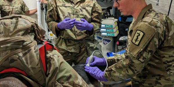 U.S. Army medics wearing gloves perform a medical procedure on a soldier in a tent.