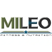 MILEO Solutions, LLC
