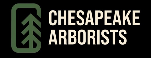 Chesapeake Arborists 