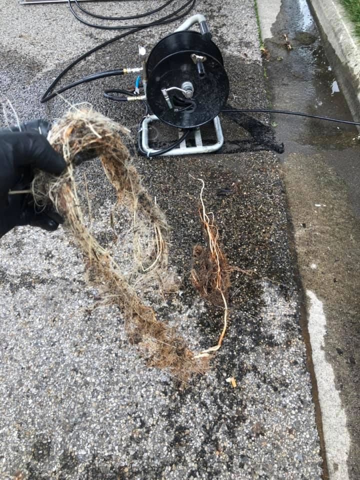 Root Gutter Why Gutter Drain Cleaning Matters More Than You Think