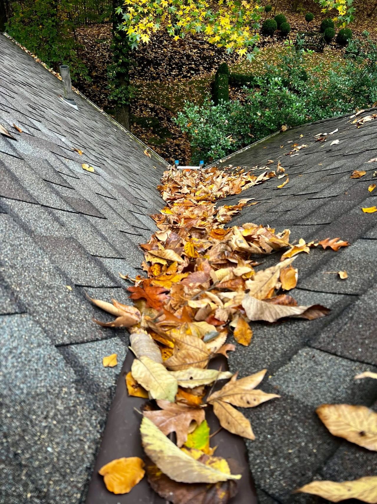 Gutter Cleaning in Athens Georgia