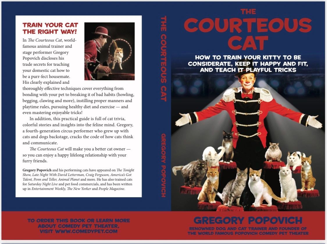 Gallery Detail: The Purr Fect Guide To Cat Training Tips For Beginners