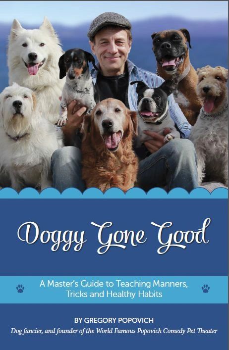 Dog Obedience Training