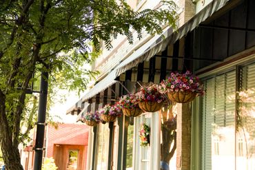 Hanging flower baskets adorn a charming storefront on a sunny day.