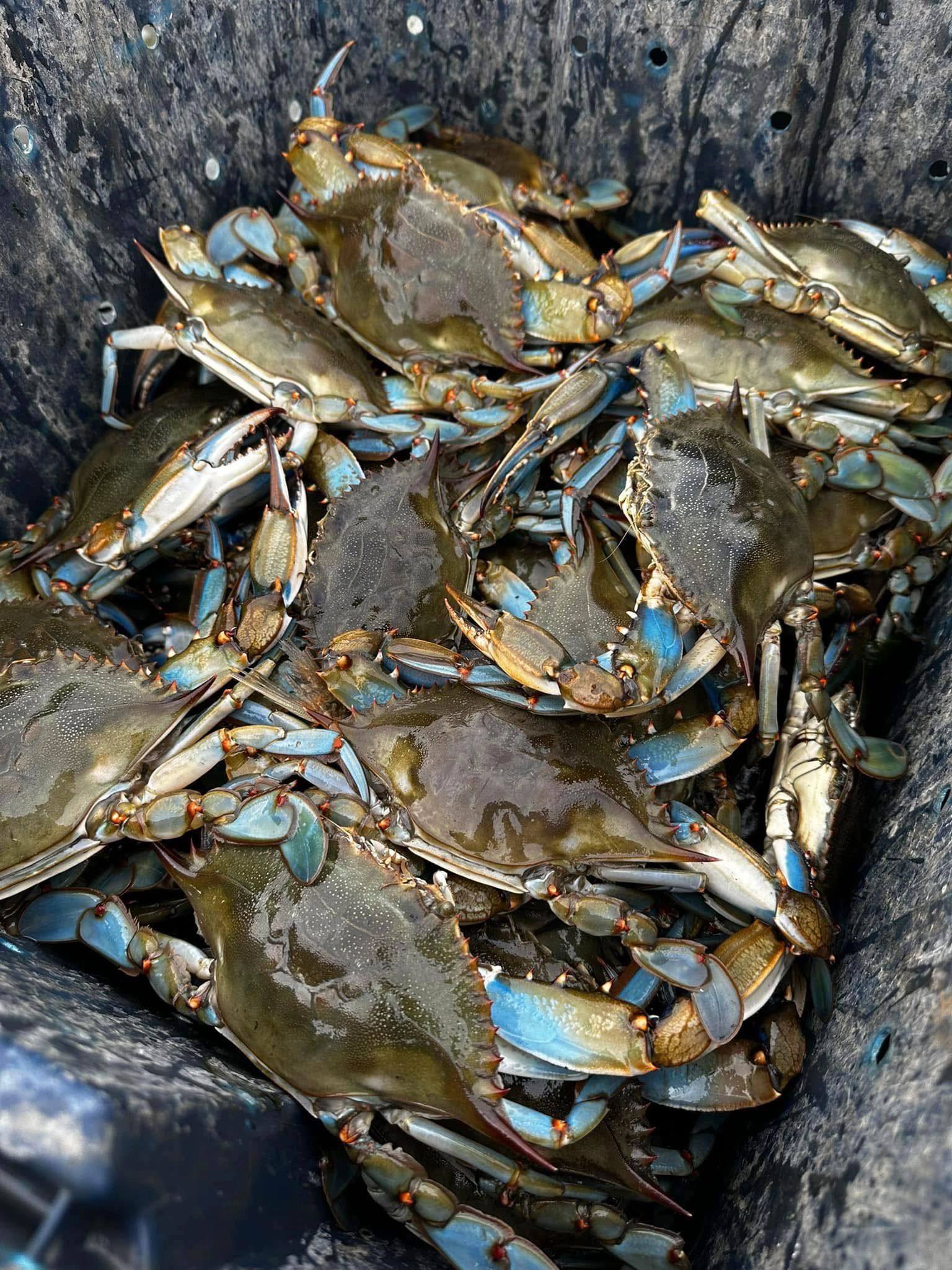 Clem's Seafood cover